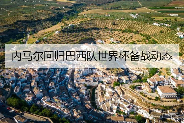 内马尔回归巴西队世界杯备战动态